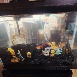 20 Gallon Fish Aquarium Ready To Go