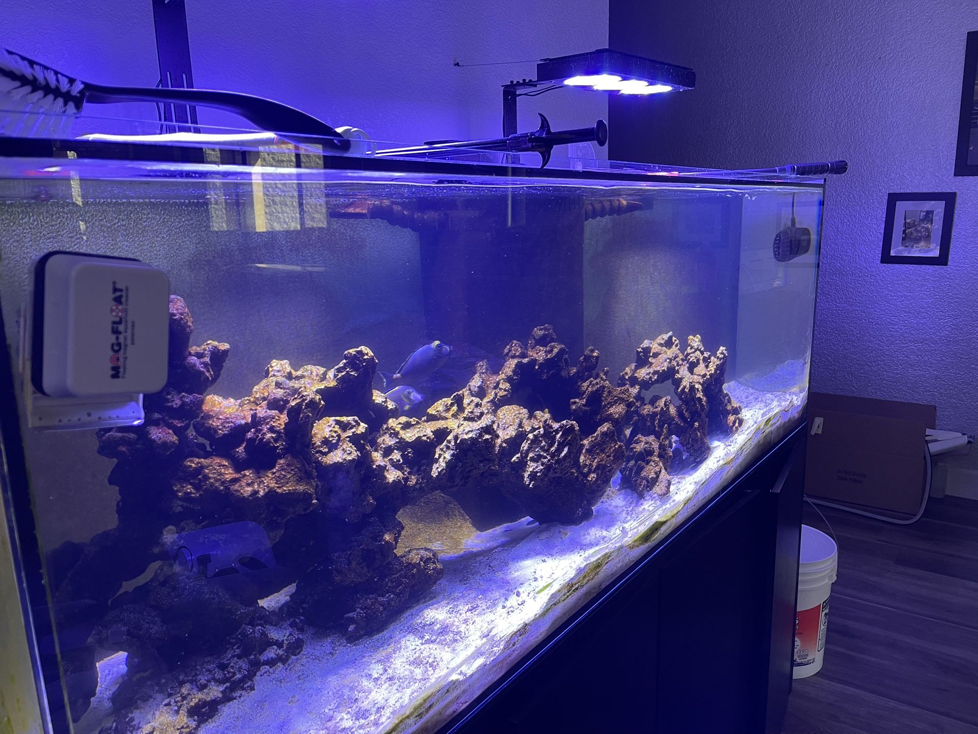 180 Euro Braced Rimless Aquarium for Sale in Stockton, CA OfferUp