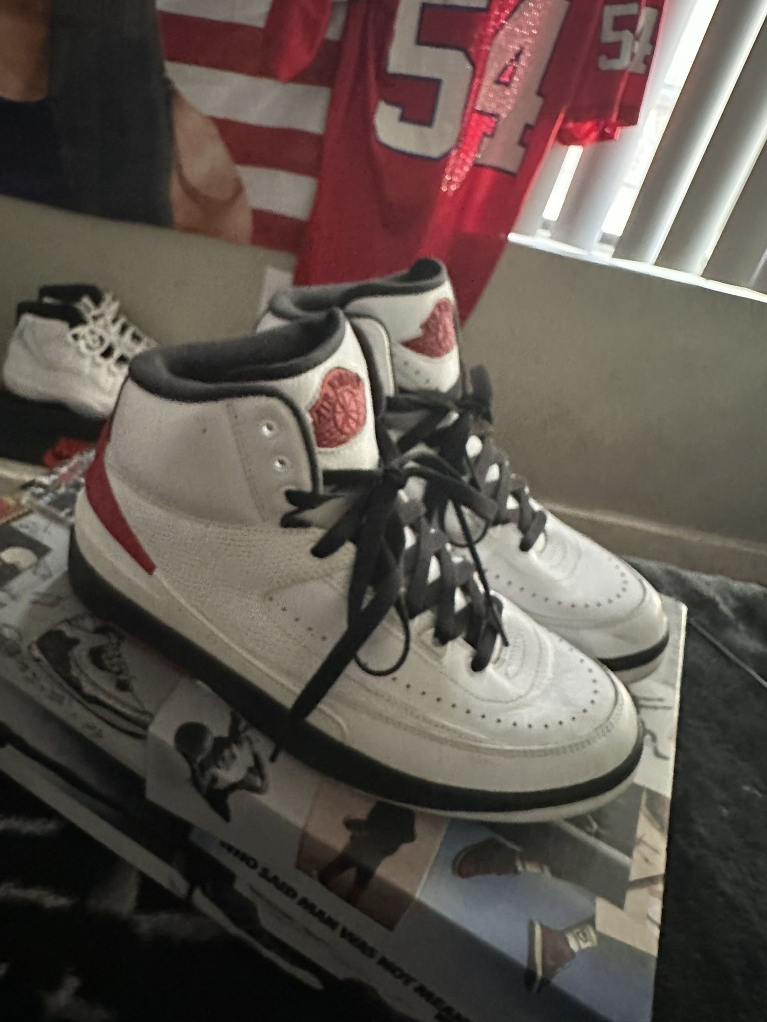 Air Jordan 2 Og “Chicago”