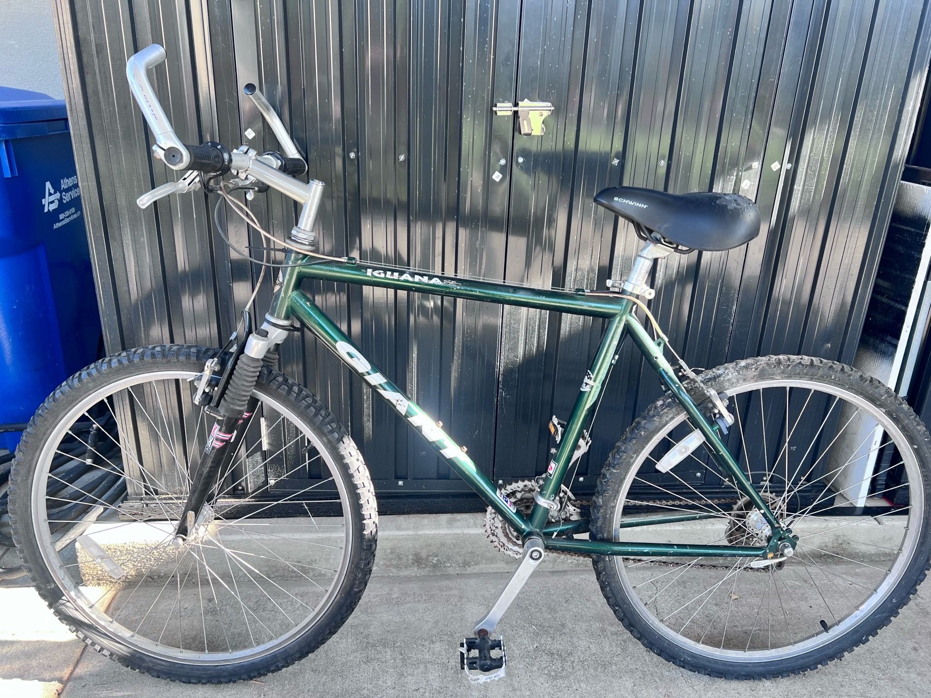 19” Giant Iguana bike