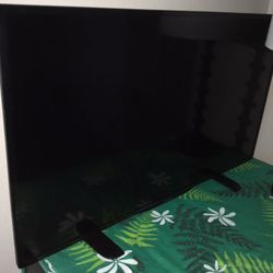 40in. Insignia Flatscreen *BRAND NEW* 