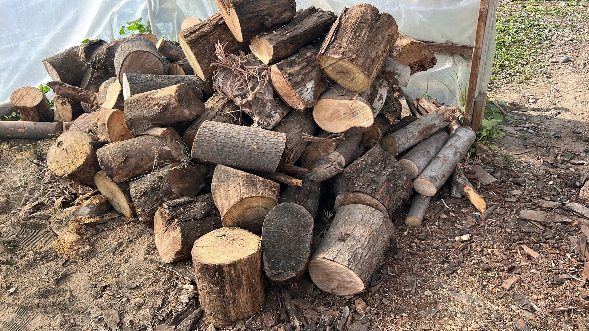 Firewood