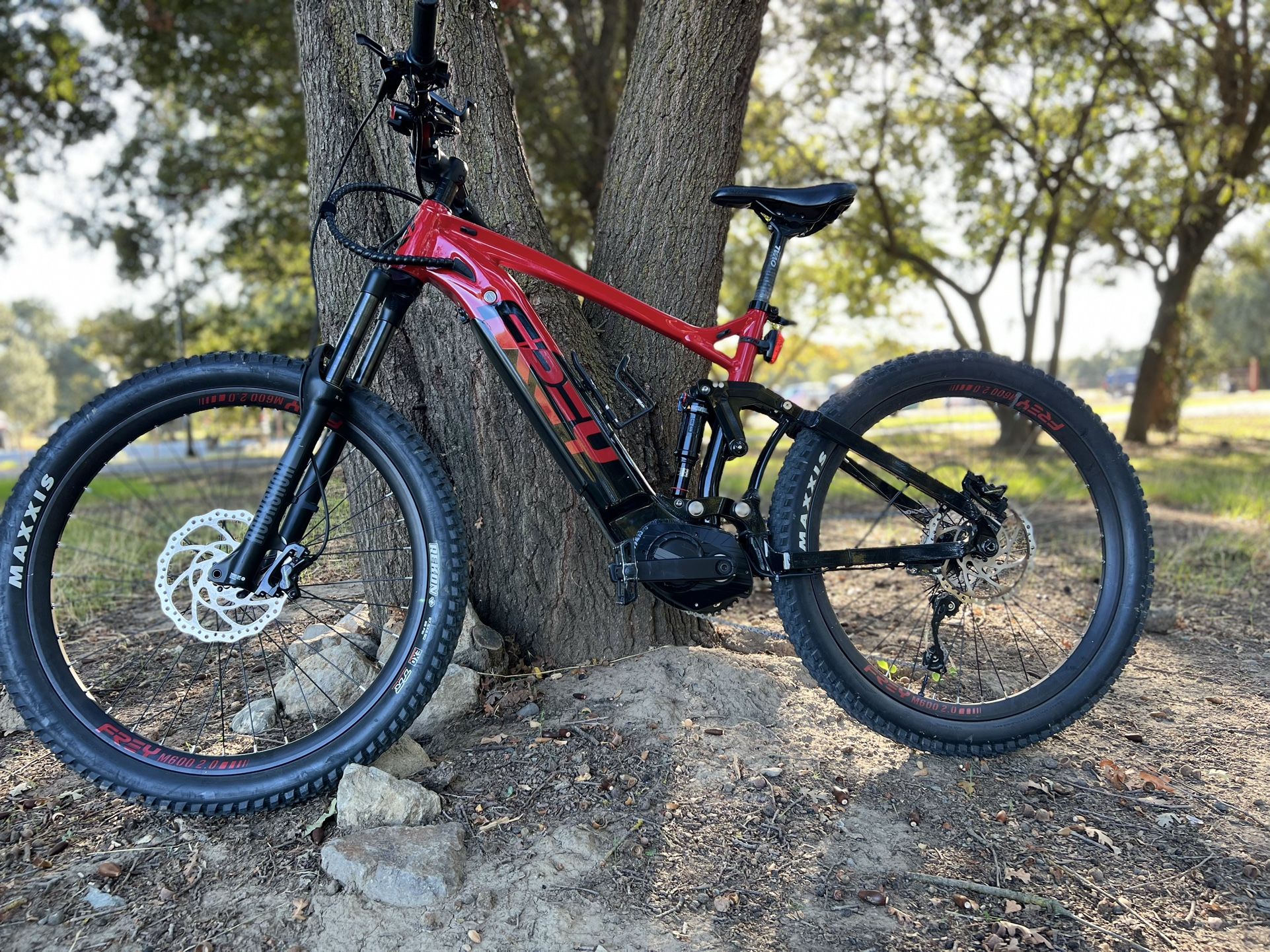 2019 Frey M600 Mid Drive Emtb Needs Work