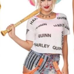 Harlequin Birds Of Prey Costume  Small