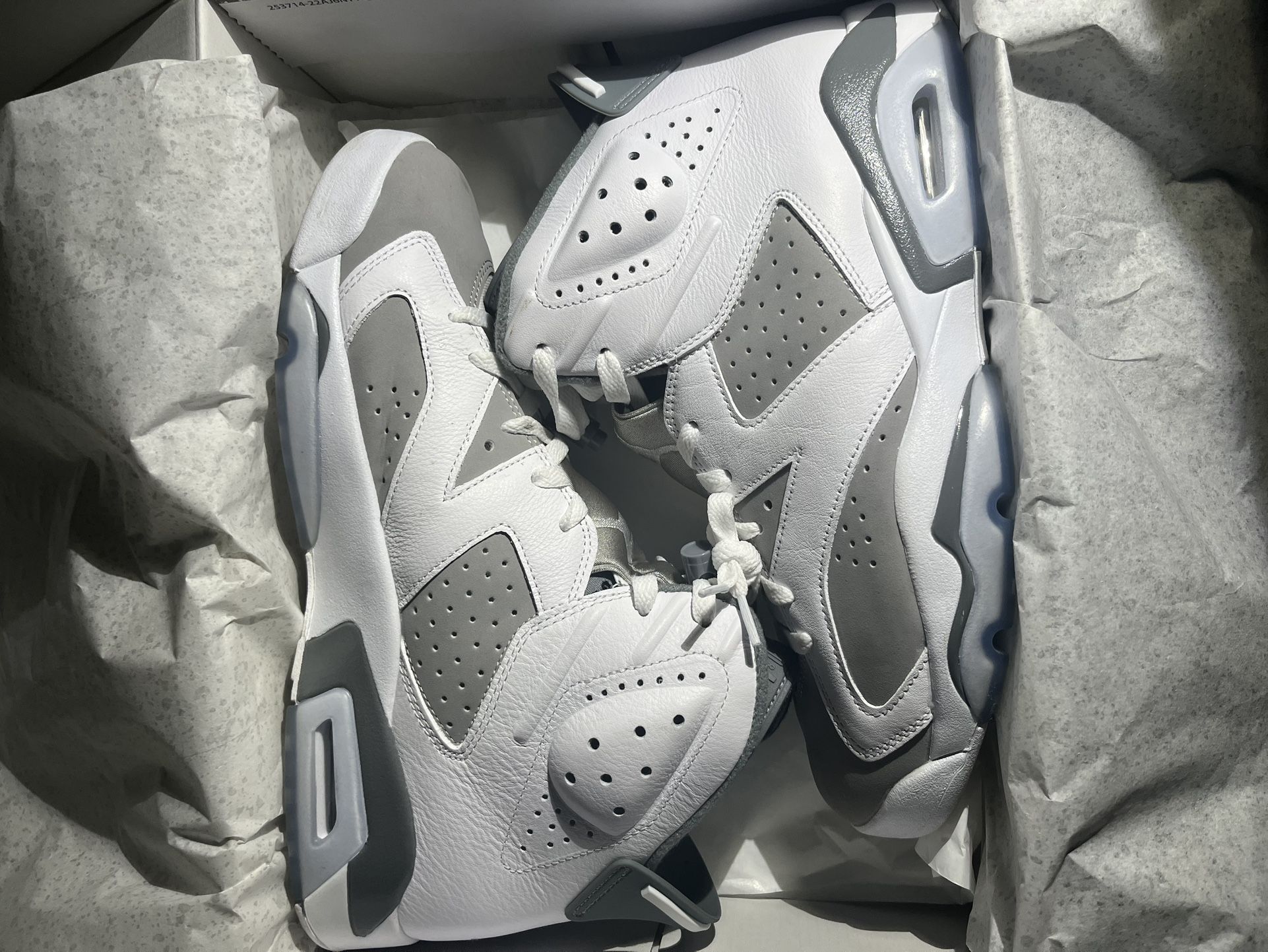 Air Jordan 6 Retro Cool Grey 