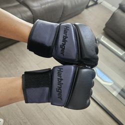 Boxing Gloves 