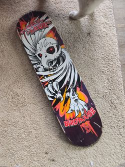 Skateboard deck hawk