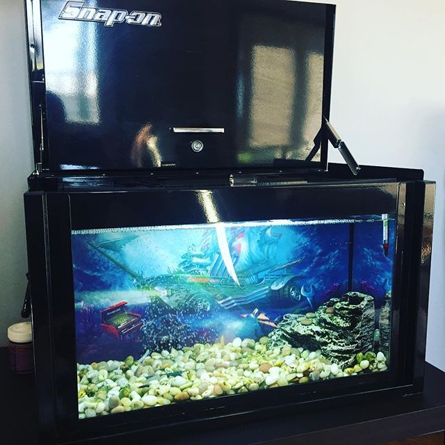 Snap On Fish Tank