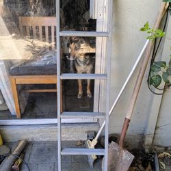 4'-6" steel ladder