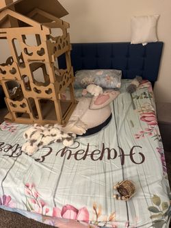 Queen Bed Mattress And Frame