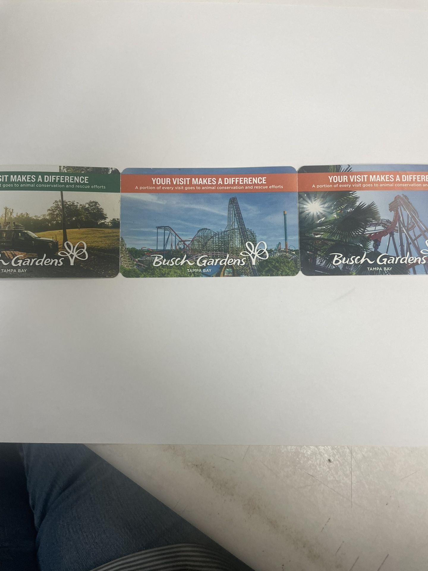Busch Gardens/sea world/adventure Island