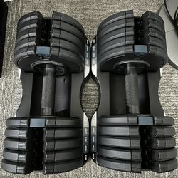 ProForm Adjustable Dumbells