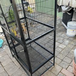 Bird Cage 