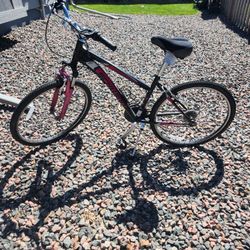 Schwinn Women's 