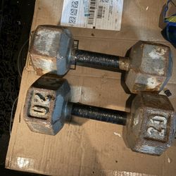 20Lb Dumbells 
