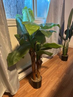2 Artificial Banana Tree in Black Pot