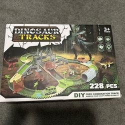 Dinosaur Tracks