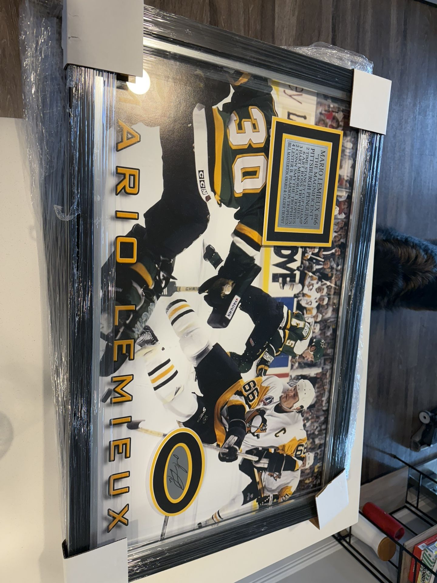 Mario Lemieux