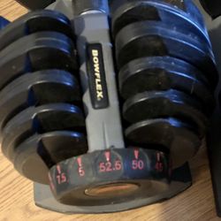 Used Bowflex Adjustable Dumbbells Set 