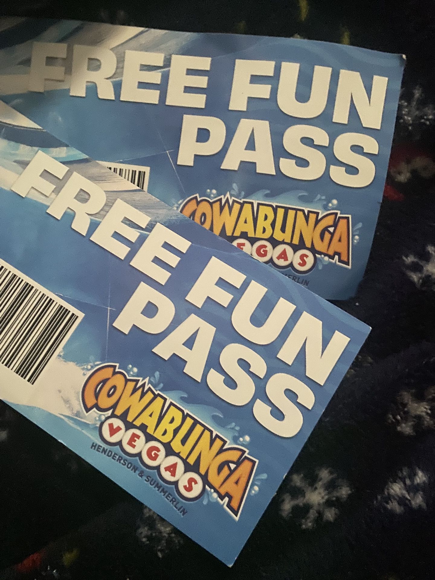 Cowabunga Tickets (Elementary)