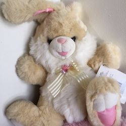 TB tranding hoppy hopster