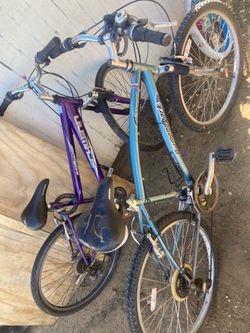 Schwinn and Diamondback mountain bikes