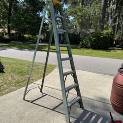 10-ft Werner Fiberglass Ladder