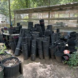 Empty Nursery Pots 1, 2, 3, 5, 7, gallon sizes,