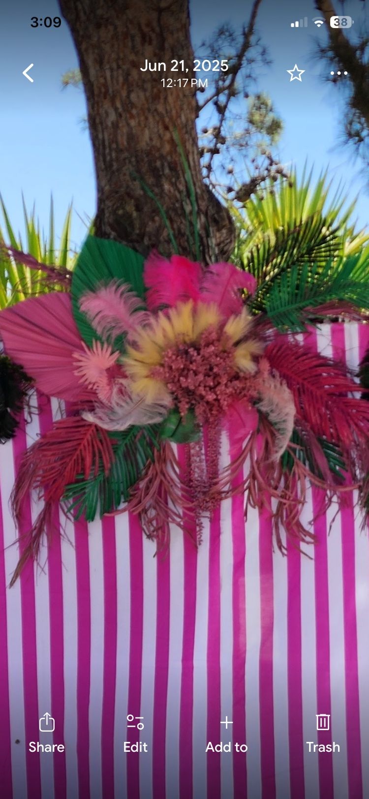 Party Prop Palm Royal Backdrop Floral 