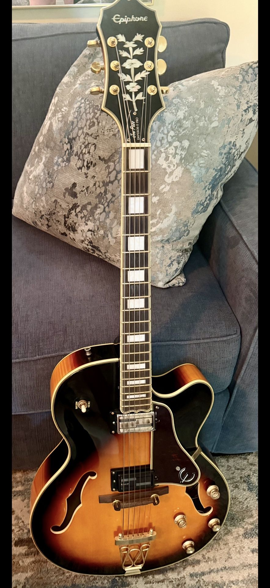 Epiphone Guitar- Custom Evogold Frets-$600