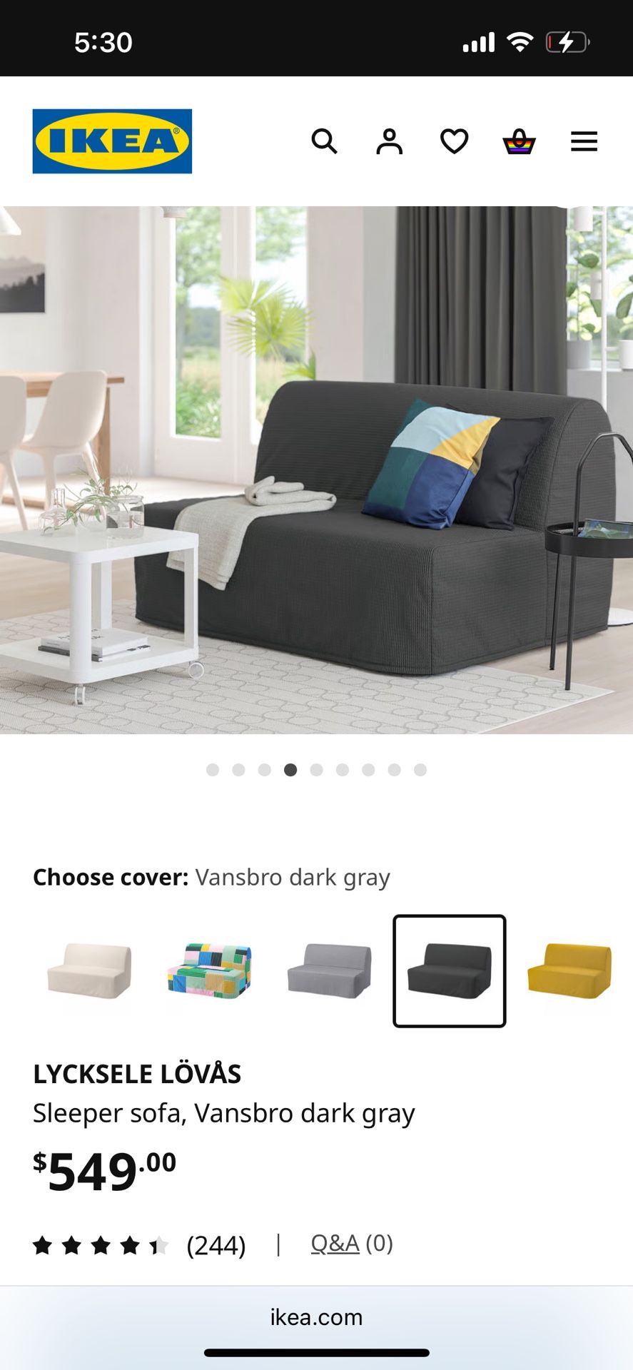 Sleeper Sofa