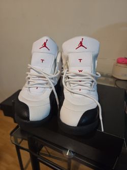 Air Jordan 12s