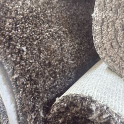Carpet Roll 12x19 $180 Per Roll