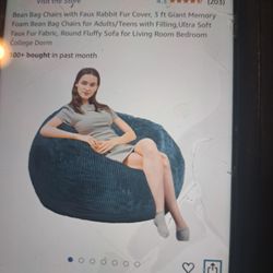 Brand new Bean Bag