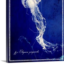 2 beautiful ocean pictures of ocean life significantly lower in price
