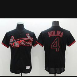Cardinals