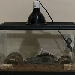 10 Gallon Reptile Tank