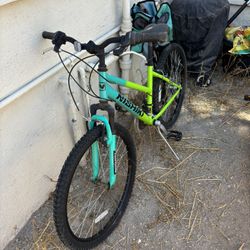 Nishiki Mountain Bike