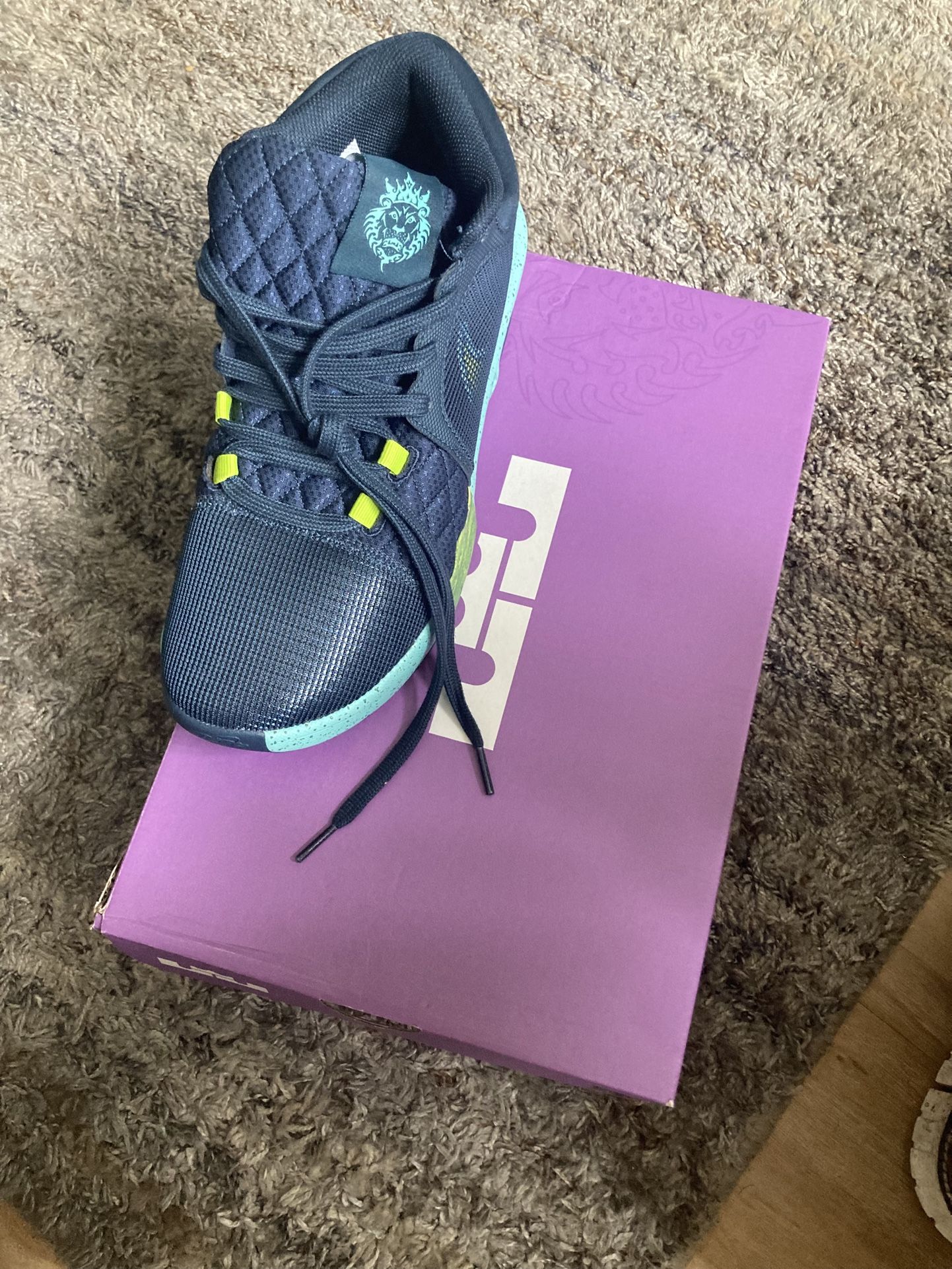 LeBron Witness 8. Size 9.5 Men $80 New With Box