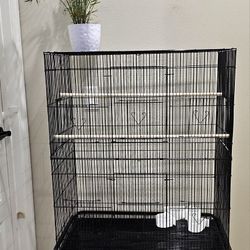 Bird Cage