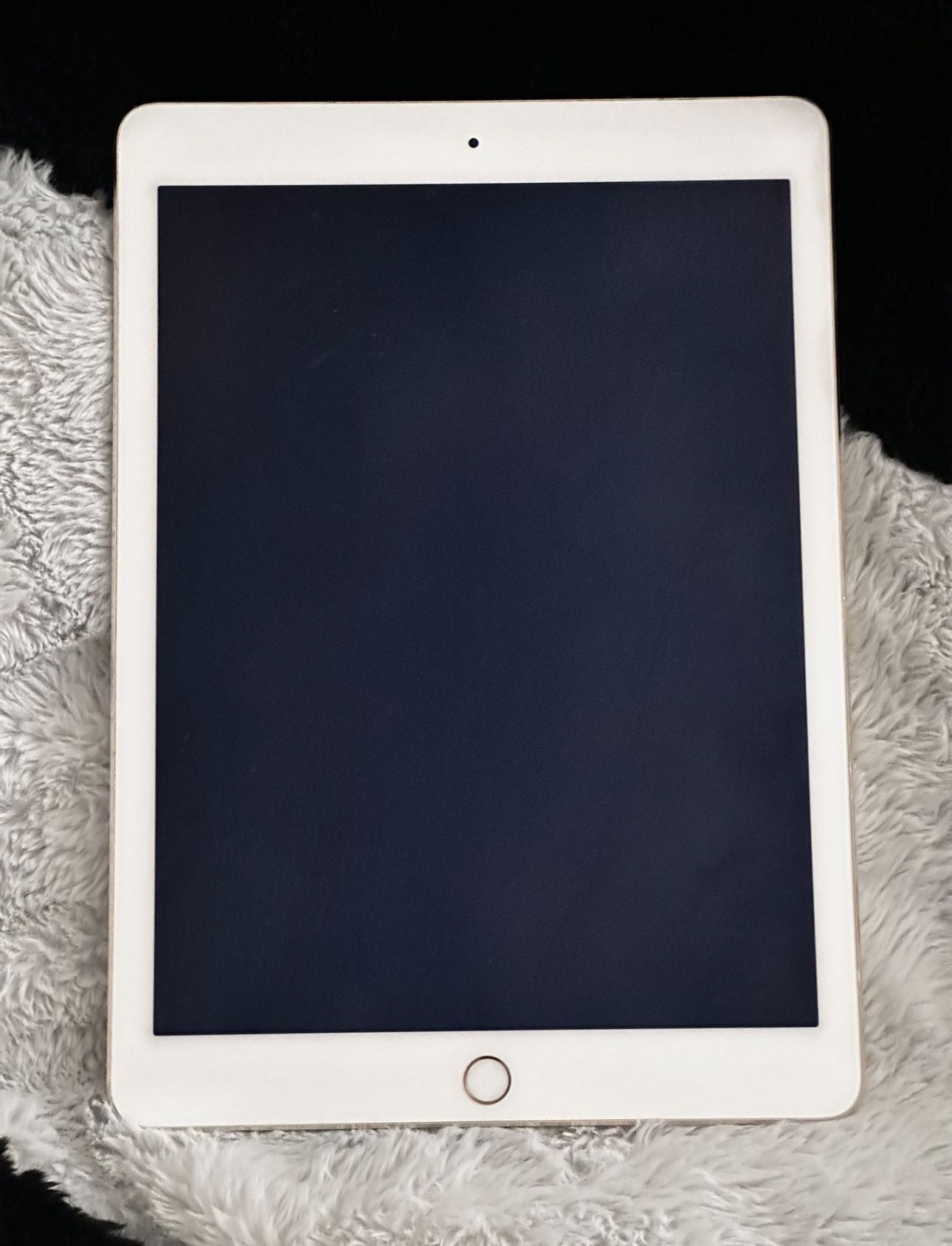 iPad 2 (16gb) WiFi Only