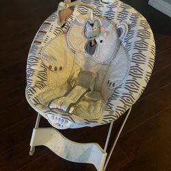 Baby Bouncer