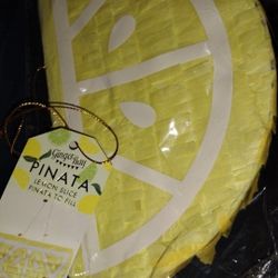 Lemon Slice Pinata
