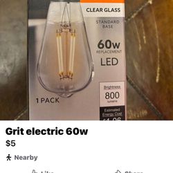 Grit 60w Light Bulbs 
