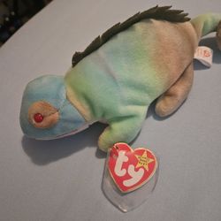 IGGY BEANIE BABY 