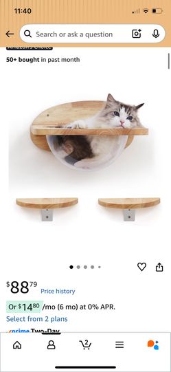 Cat Shelving