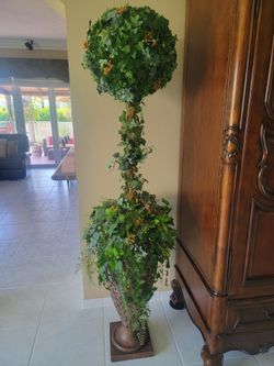 Vase & plant