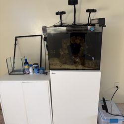Aquarium setup