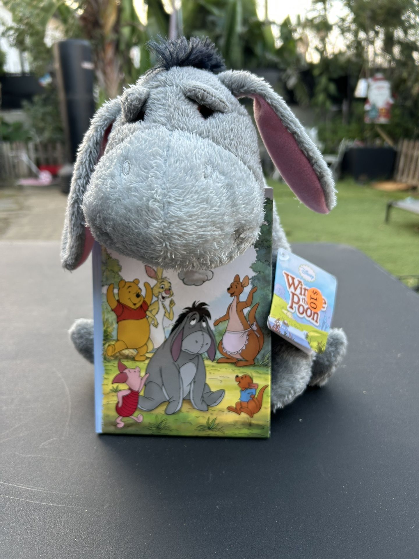 Winnie The Pooh With Book π