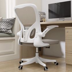 Ergonomic Office Chair 